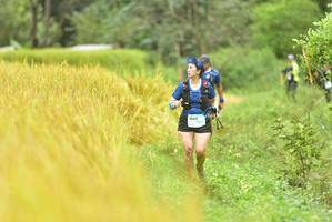 BIB: 1543
                            <button type="button" onclick="openModal(13434981)" class="btn btn-primary btn-sm float-right btn-popup" data-toggle="modal" data-target=".modal-high-quality">
                        <i class="fas fa-shopping-cart"></i> Add to Cart
                    </button>
                                            <button type="button" onclick="isThisMe(13434981, true)" class="btn btn-success btn-sm float-right btn-popup btn-isme hidden" data-toggle="tooltip" data-placement="bottom" title="นี่คือรูปของคุณใช่ไหม คลิกที่นี่เพื่อเอาเข้าอัลบั้ม">
                        <i class="fas fa-plus"></i> Add to album
                    </button>
                    <button type="button" onclick="isThisMe(13434981, false)" class="btn btn-warning btn-sm float-right btn-popup btn-isnotme hidden">
                        <i class="fas fa-ban"></i> Remove from album
                    </button>